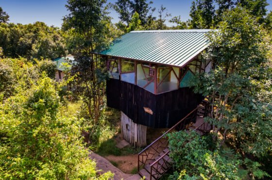 Kanha Jungle Camp Luxury