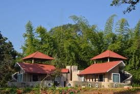 Mint / Bundela