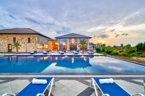 Jungle Home